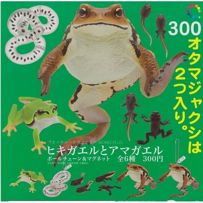 【日玩獵人】IKIMON(轉蛋)NTC圖鑑-雨蛙與蟾蜍吊飾&amp;磁鐵 全6種 整套販售