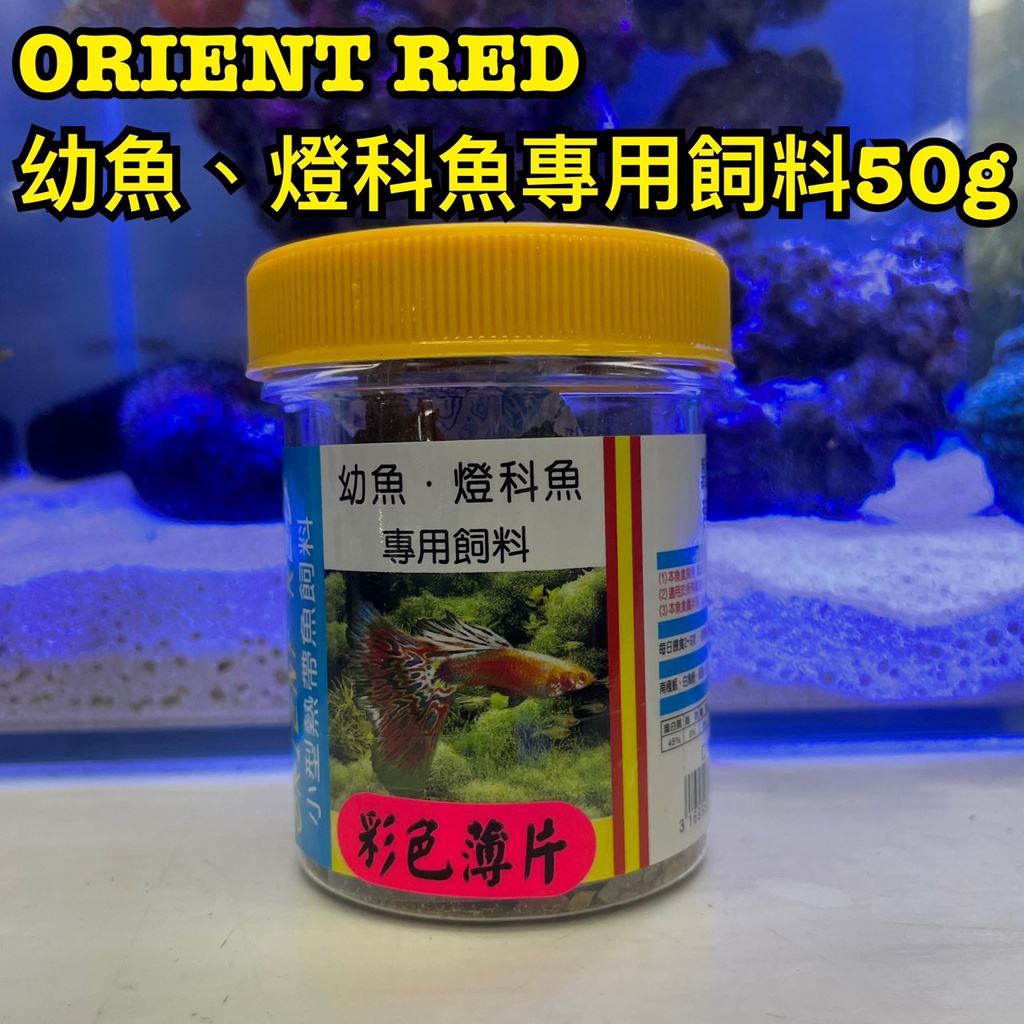 ORIENT RED 幼魚、燈科魚專用飼料 彩色薄片50g