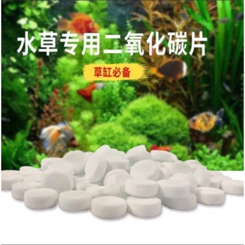 老闆出清大拍賣！台灣絕色［水草CO2錠 1錠/散售］ 添加 陽性 陰性 水草 1錠1元