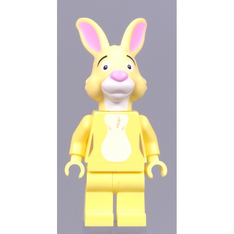 樂高 LEGO 兔子 瑞比 Rabbit（21326）