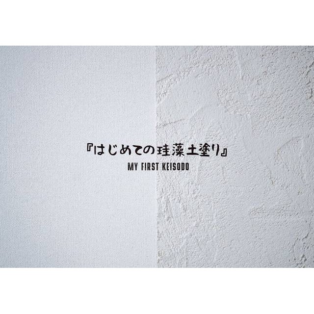 Momy 日本原裝進口珪藻土塗料 專為diy設計的硅藻土塗料 硅藻土矽藻土綠建材淨化空氣造型牆面居家風格 蝦皮購物