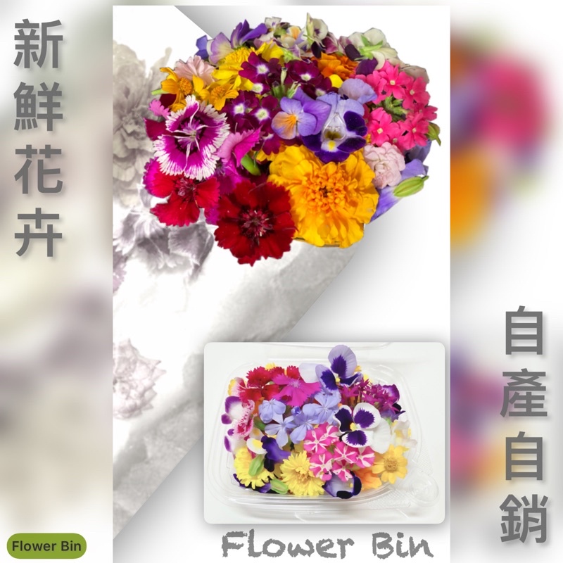 擺盤裝飾 新鮮花朵食用花食用花卉edible Flowers 香菫三色菫夏菫石竹繁星孔雀金盞銅錢草芳香萬壽菊葉等 蝦皮購物
