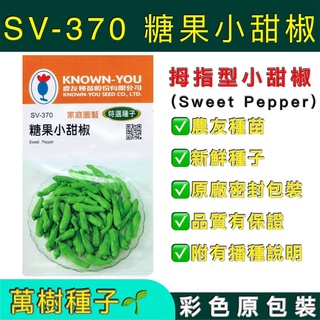 【萬樹種子】 SV-370 糖果小甜椒 特選蔬果種子 農友種苗 彩色密封 原廠包裝