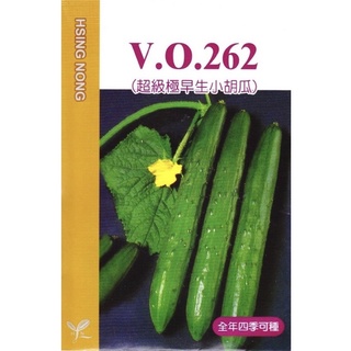 種子王國 大包裝 15公克 262超級極早生小胡瓜 小黃瓜種子【蔬果種子】全年可播種 早生品種 興農種苗