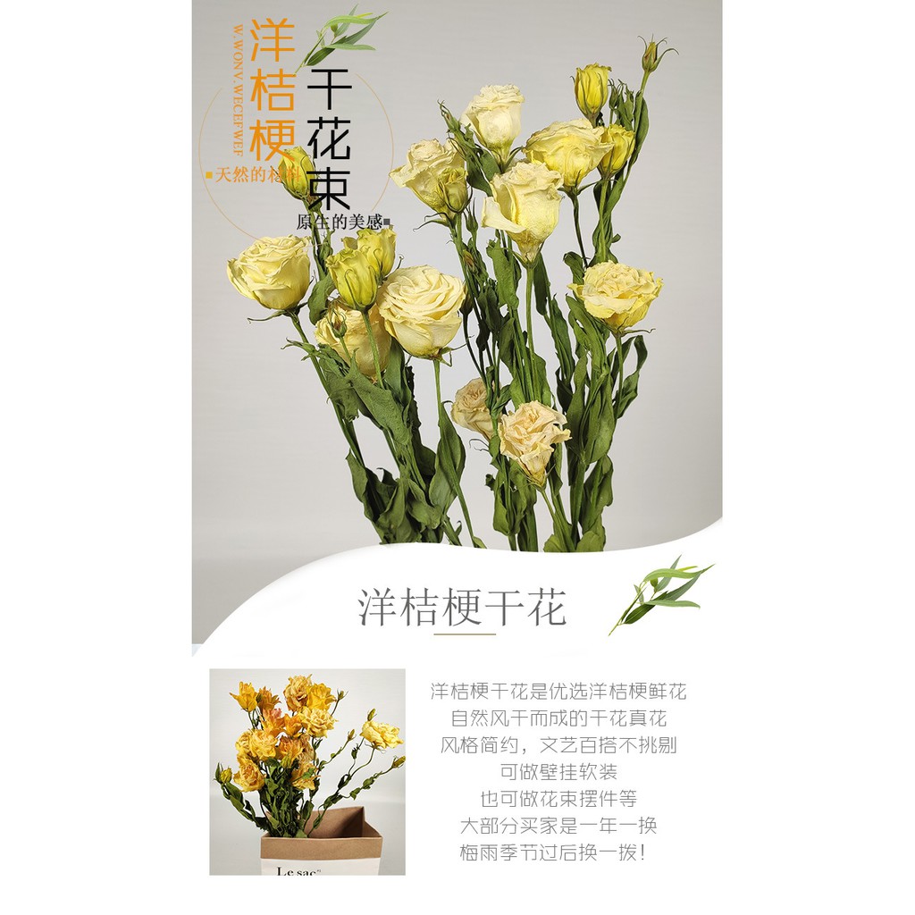 唯它廠家直銷洋桔梗干花花束ins干花北歐批發乾燥花裝飾干花客廳擺設乾燥花 蝦皮購物