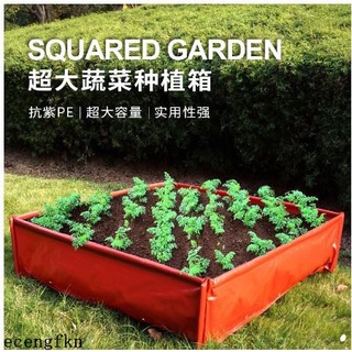 家庭菜園 優惠推薦 21年8月 蝦皮購物台灣