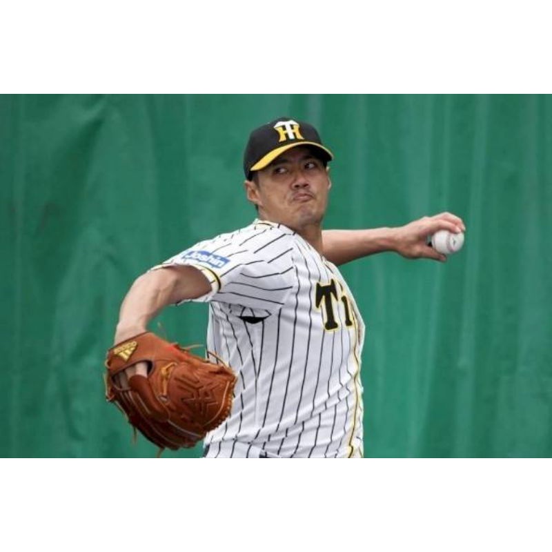NPB 日本職棒阪神虎全封式棒球帽美津濃製。