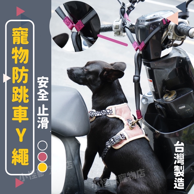 防跳車牽繩🇹🇼預購MIT🐶 🏍️防跳車x寵物機車牽繩 寵物用品 寵物牽繩 機車牽繩 防跳車牽繩