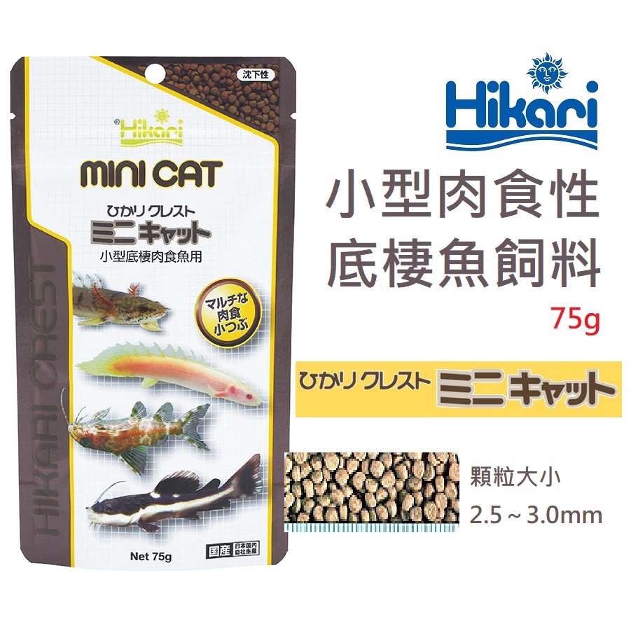 [HAPPY水族] 日本 Hikari 高夠力 小型肉食性底棲魚飼料 75g 沉水性 肉食魚 魚飼料 HK-28504