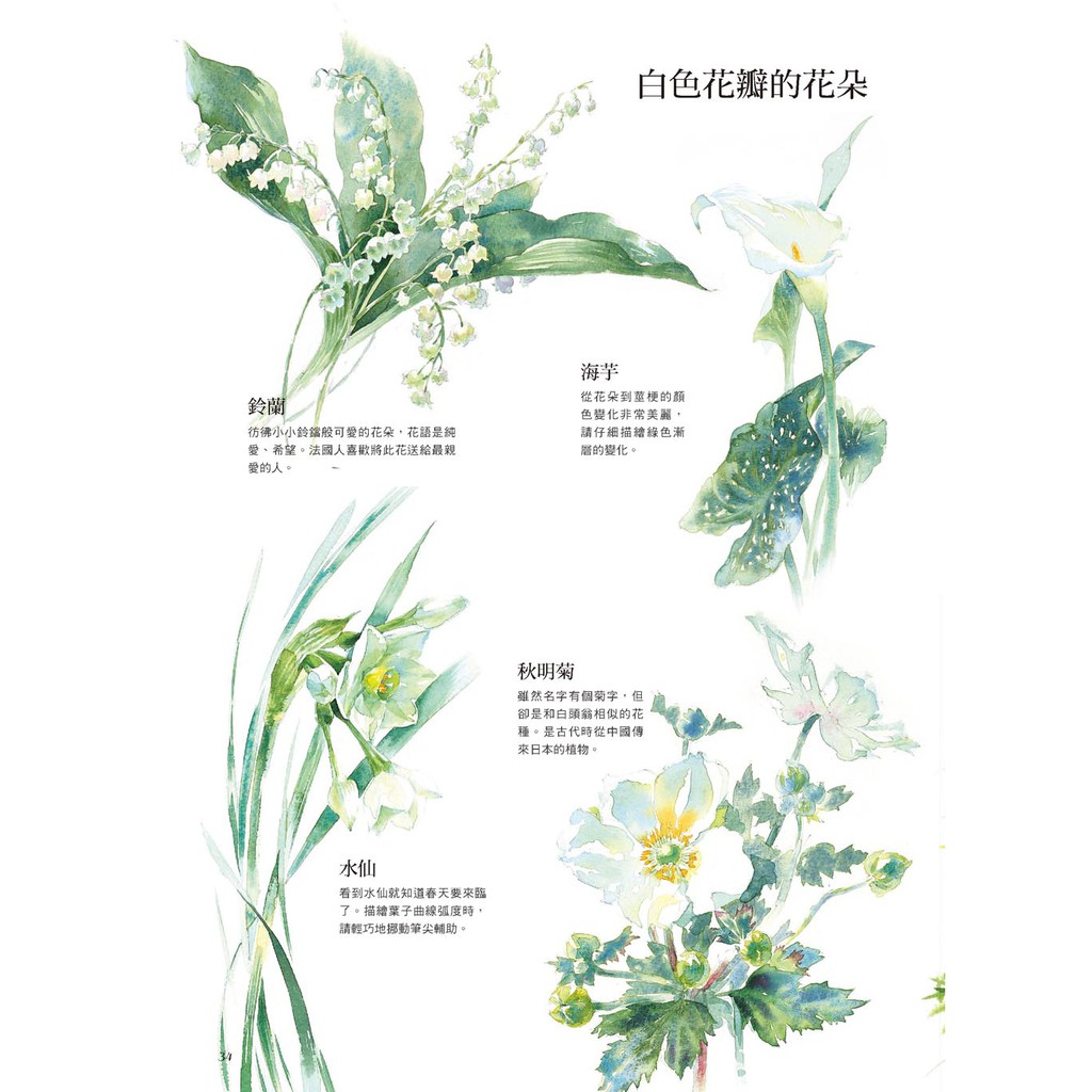 良品 初學者的水彩基本功 輕鬆自學透明水彩花草繪 蝦皮購物