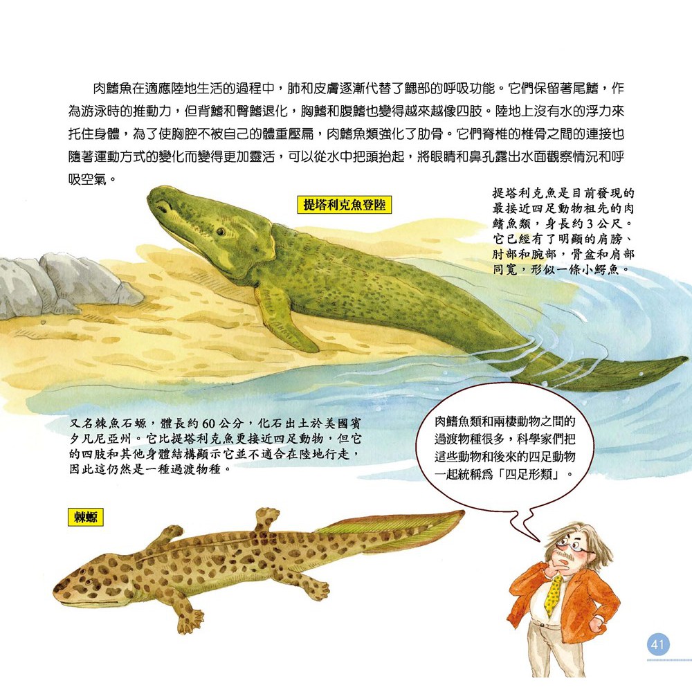 全新 我的第一本動物演化圖鑑3志留紀和泥盆紀 原價3 小鯨生活 愛子森林 蝦皮購物