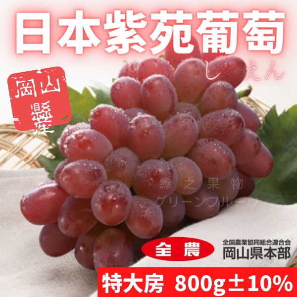 紫苑葡萄 日本葡萄 緋紅提 妃紅提 岡山葡萄 粉紅葡萄 無籽葡萄 葡萄禮盒 限量 頂級葡萄 黑貓冷藏宅配 滿額免運