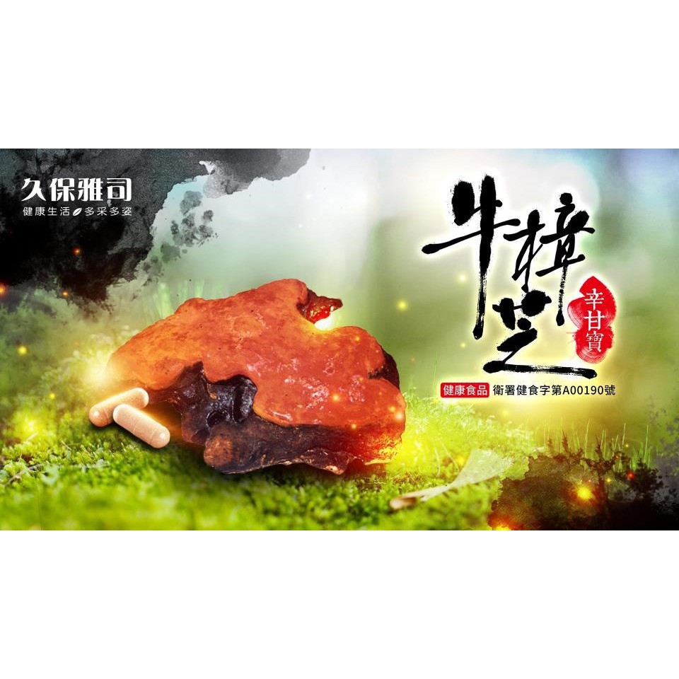 久保雅司辛甘寶利得牛樟芝膠囊健字號菌絲體濃縮牛樟提昇體能精力活力體力 蝦皮購物