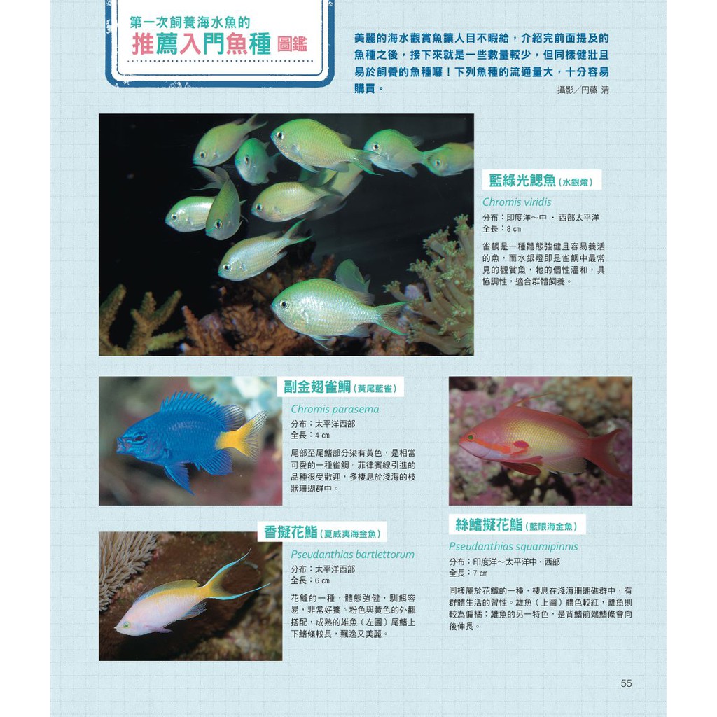 給新手的海水魚飼養指南 蝦皮購物