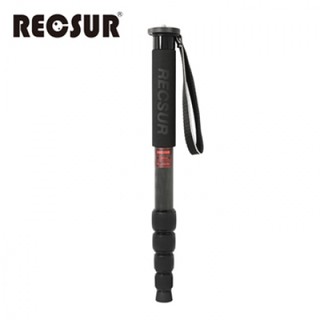 RECSUR 銳攝 RL-2805C 28MM五節碳纖維單腳架(不含雲台)