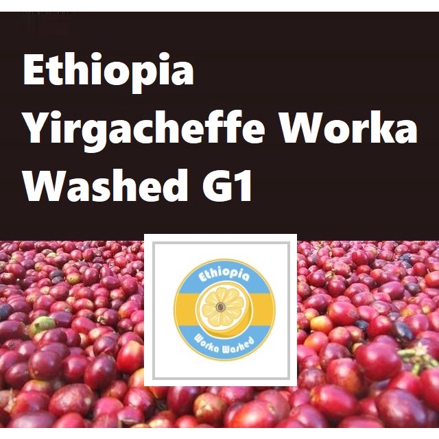 生豆｜衣索比亞 耶加雪菲 沃卡 萊姆狂想 水洗 G1 咖啡生豆｜咖啡商城 COFFEE MALL