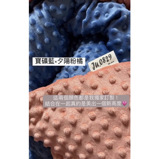客製化台灣製🇹🇼雙面荳荳毯➰自由配色♥️檢驗合格➰ju.0829#毛小孩