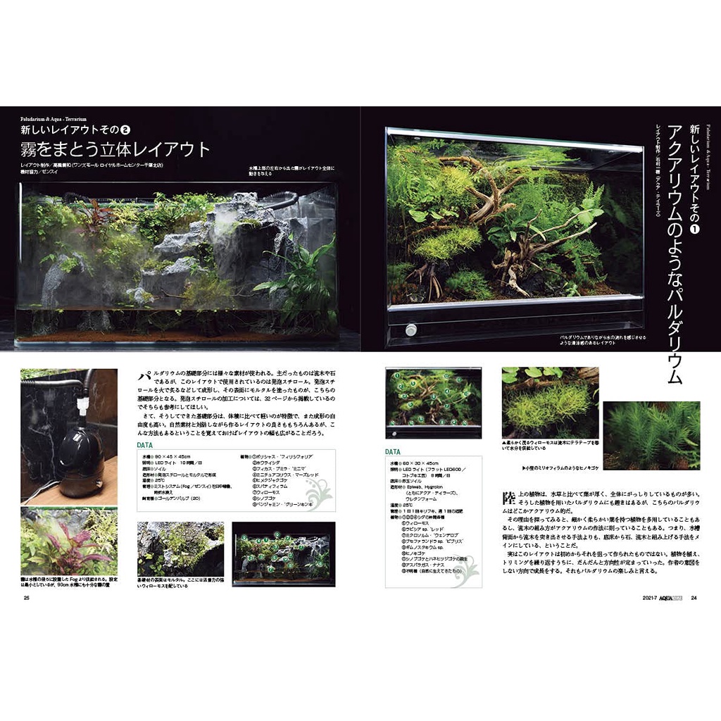 月刊アクアライフ 21年 07 月号 Aqua Life日文水族雜誌 如何製作生態缸 蝦皮購物