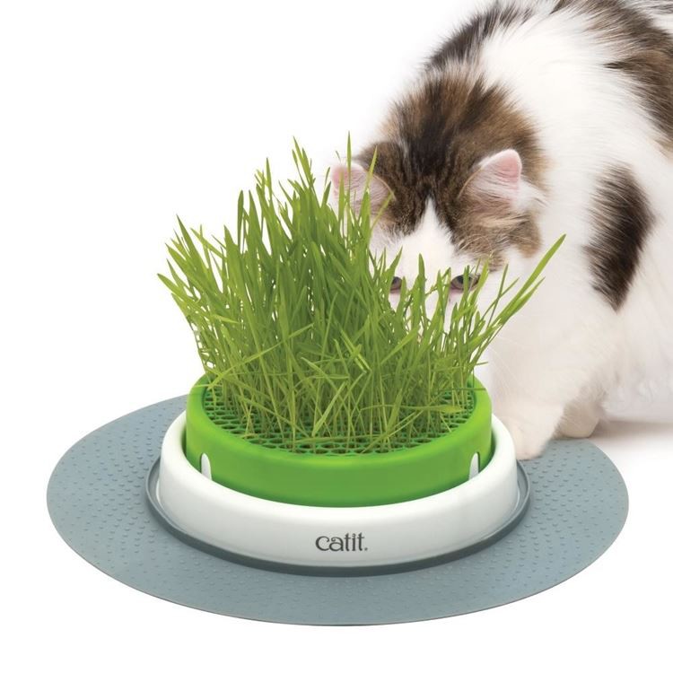 加拿大CATIT2.0貓草種植盤