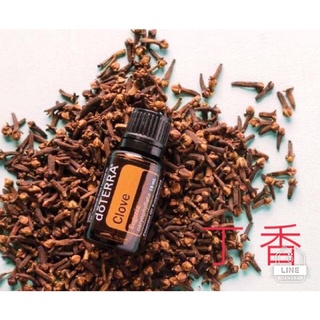 多特瑞 丁香精油 15 ml EXP 2026.9～美國總公司