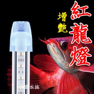 帥哥水族【SHARK】水中燈 增豔燈 水陸兩用 LED燈 紅龍燈 金魚燈 龍魚燈