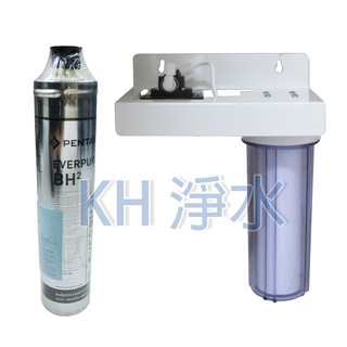【KH淨水】美國EVERPURE BH2二道烤漆吊片型淨水器《生飲級》搭配NSF濾心 ，平輸全配件2900元