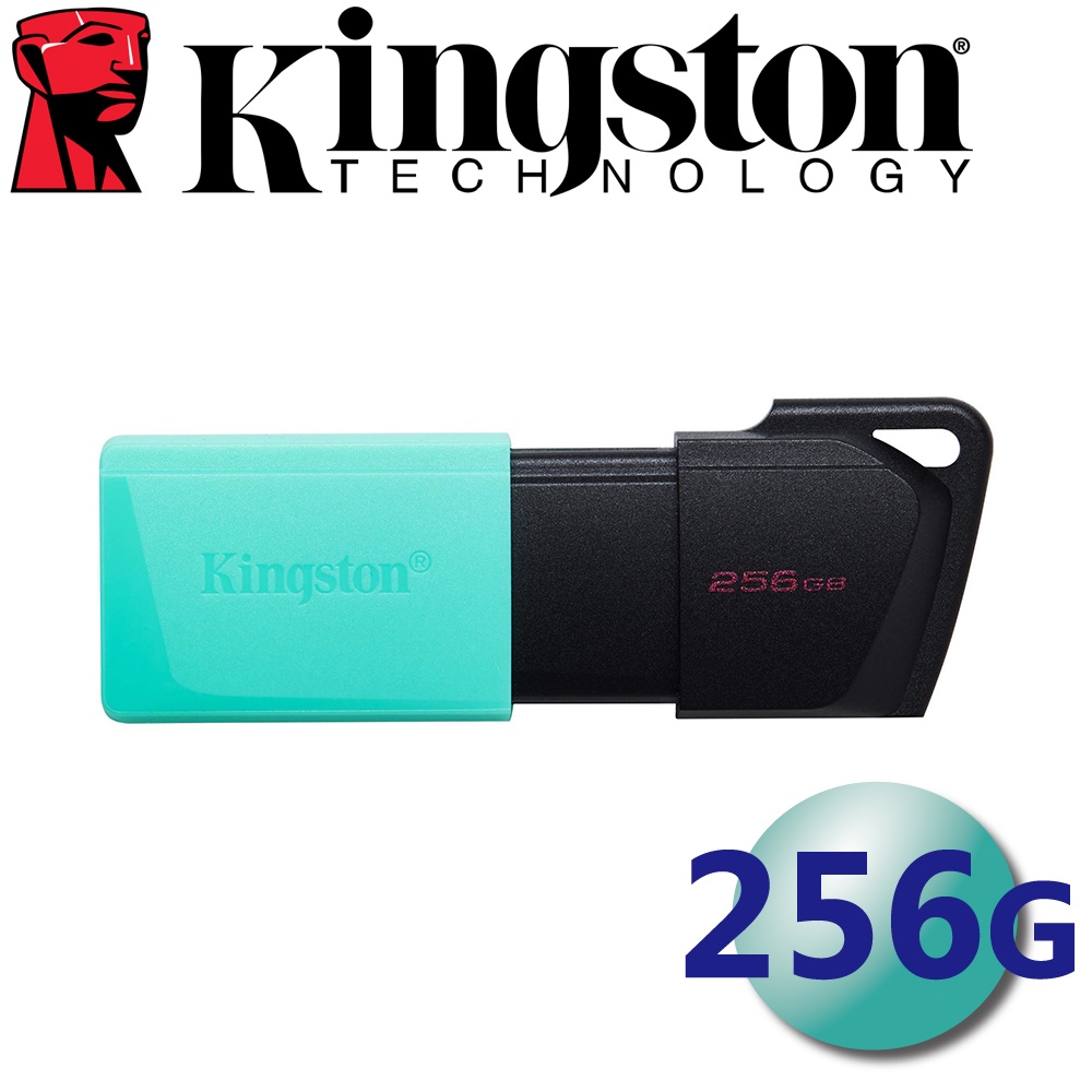 Kingston 金士頓 256GB DTXM Exodia M USB3.2 Gen1 256G 隨身碟