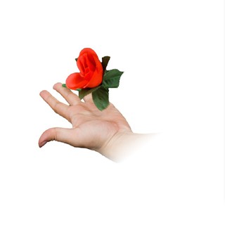 【現貨&免運】魔術道具 空手變玫瑰 折疊玫瑰 魔術 808 撲克牌