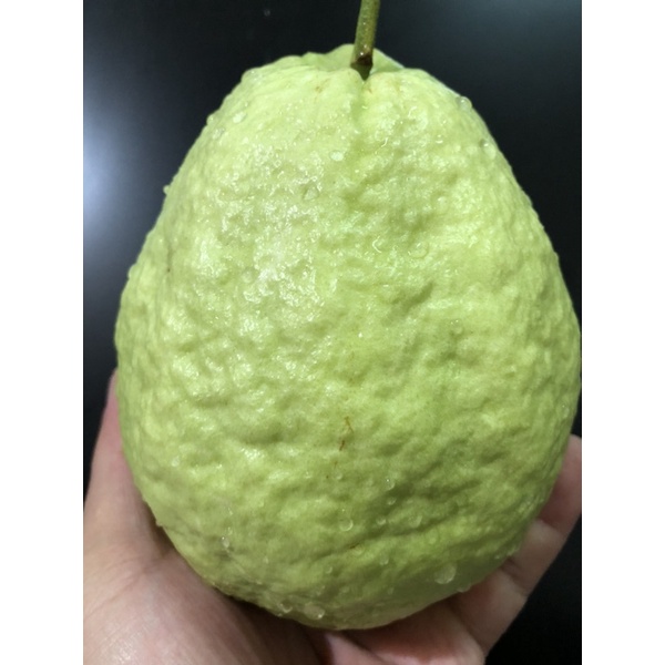 芭樂口味 優惠推薦 21年7月 蝦皮購物台灣