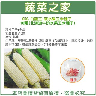 【蔬菜之家滿額免運】G50.白龍王1號水果玉米種子10顆(有藥劑處理)北海道牛奶水果玉米種子 果菜類種子
