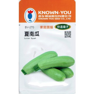 愛上種子 夏南瓜Summer Squash(sv-270)農友種苗特選種子 植株半立 果皮白綠色(淺綠色) 短棍狀