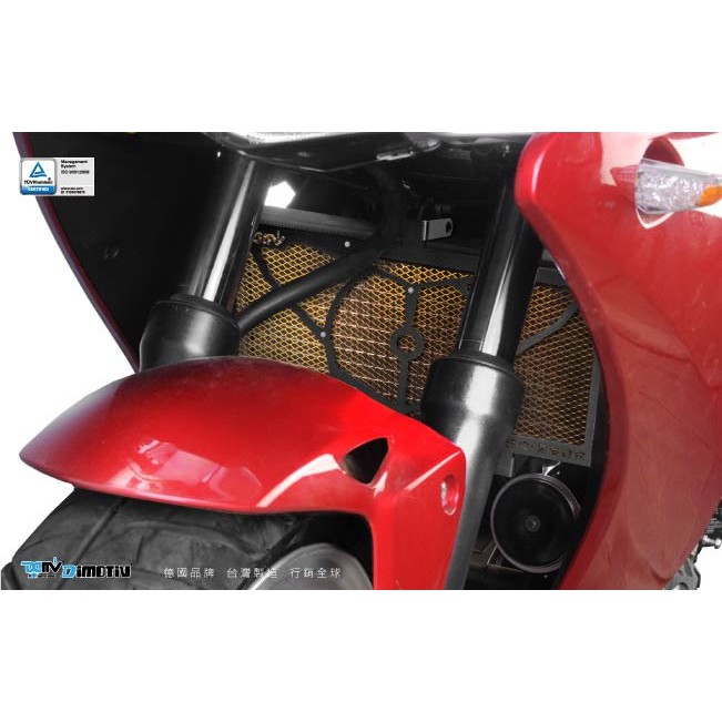 【R.S MOTO】HONDA CBR250R 水箱護網 造型款 黑鋁框 德國DIMOTIV DMV