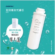 EVERPOLL 500G RO逆滲透 專用濾心.可單買.組合購.與豪星HS-400G直輸RO濾心通用