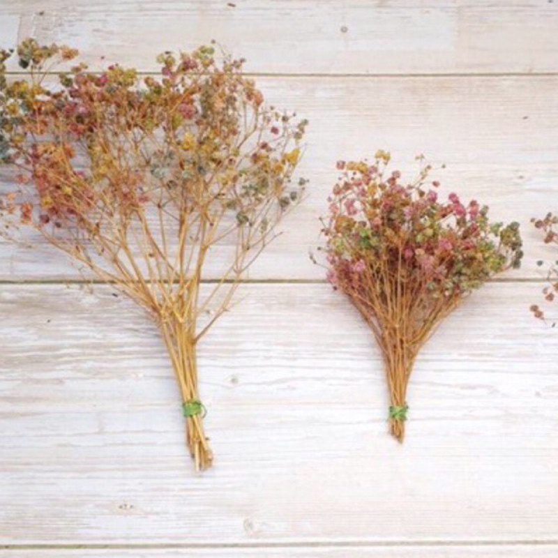 滿天星乾燥花 真花手作製造乾燥花 拍照背景花束 佈置花束 蝦皮購物
