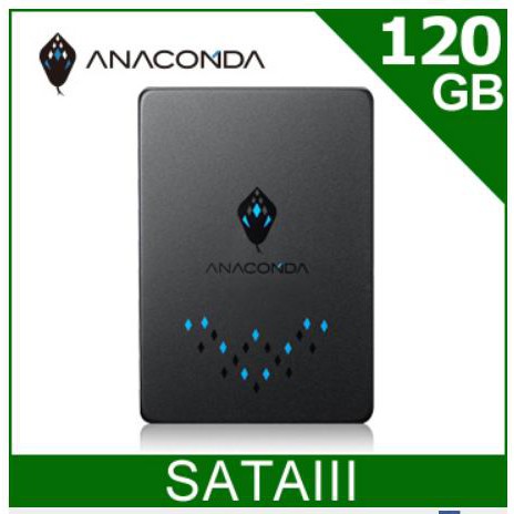 ANACOMDA巨蟒 TS 120GB SATA SSD