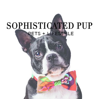 (現貨)進口精緻手工寵物領結+項圈+牽繩組-美國Sophisticated Pup