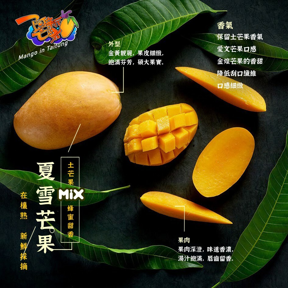 夏雪芒果的價格推薦 21年8月 比價比個夠biggo