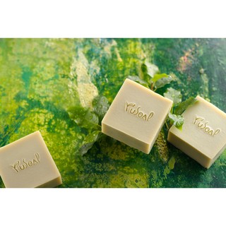 YuSoap - 榛果茶花洗髮皂 / 冷製手工皂 / 適合各種髮質與頭皮