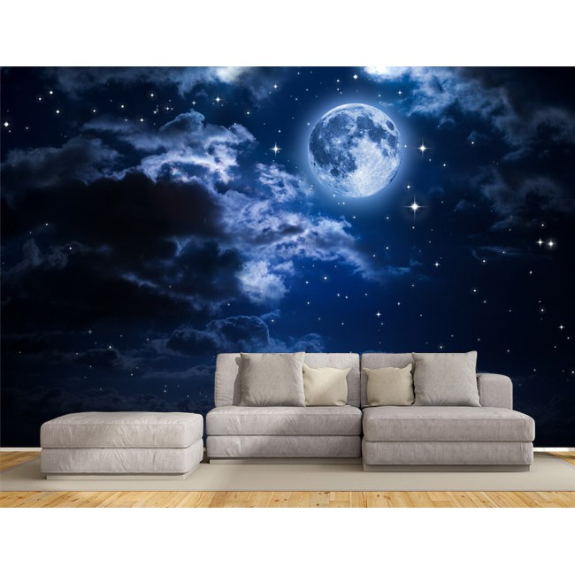 客製化壁貼店面保障編號f 164 月夜星空壁紙牆貼牆紙壁畫星瑞shing Ruei 蝦皮購物