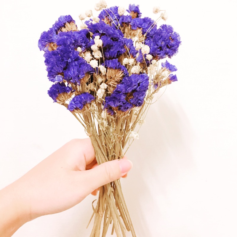 乾燥花素材包diy乾燥花束 蝦皮購物