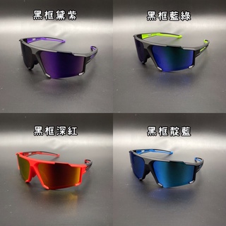 CATEYE A.R. Polarized Eyewear lll 偏光太陽眼鏡 騎車 自行車 戶外運動 太陽眼鏡