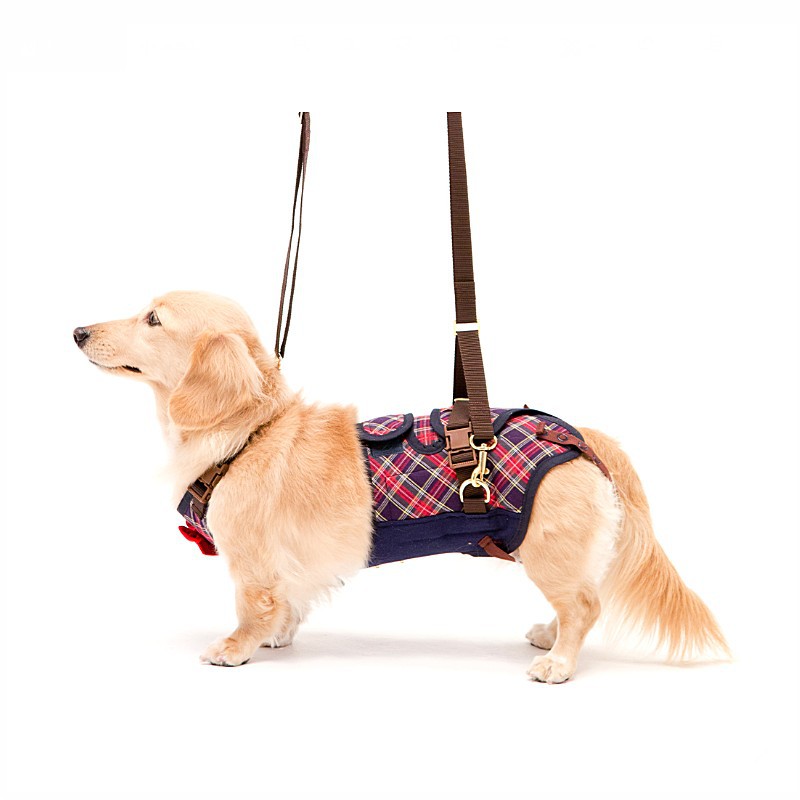 LaLaWalk 中小型步行輔助帶-嘉年華格紋/老犬/輔助用品/寵物介護 寵物介護