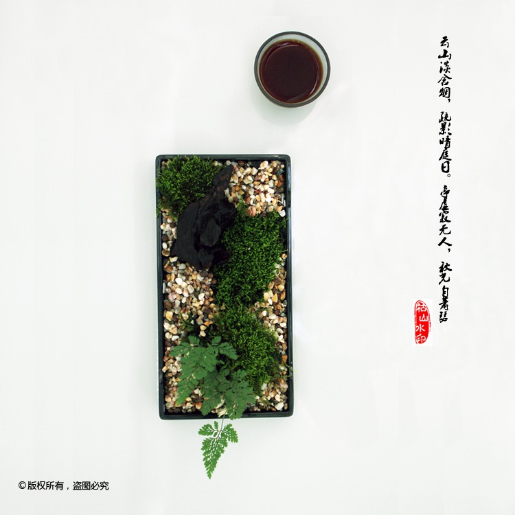超讚shangyu05 創意苔蘚微景觀文人盆景案臺清供日式禪意枯山水書房茶室diy禮品 蝦皮購物