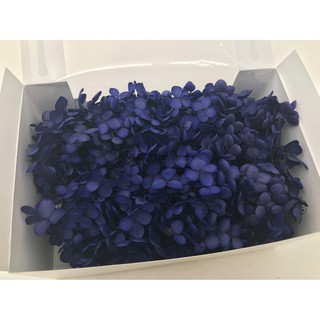 Truly 永生花 不凋花toka 東北花材小葉安娜貝爾 水無月拆盒繡球繡球花紫陽花 蝦皮購物