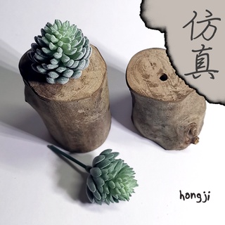 多肉 模擬多肉 微景觀 P13 假多肉植物 辦公室小物 療癒紓壓生日禮物拍照道具居家裝飾咖啡屋商店擺飾迷你木頭底座盆栽