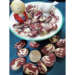 皇帝豆的價格推薦 2021年11月 比價撿便宜