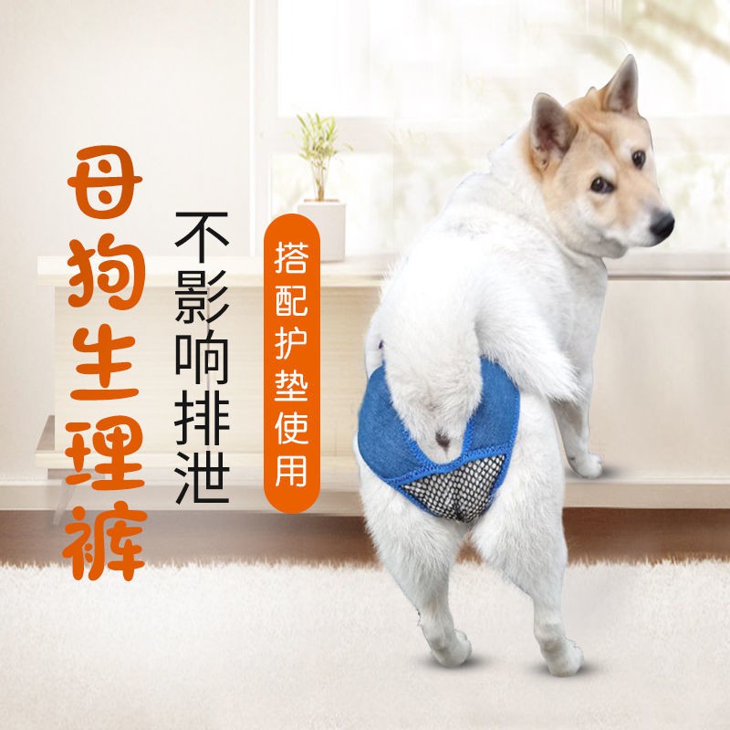 狗狗生理褲寵物月經褲母狗姨媽巾金毛大型犬防騷擾大狗生理可排泄 蝦皮購物