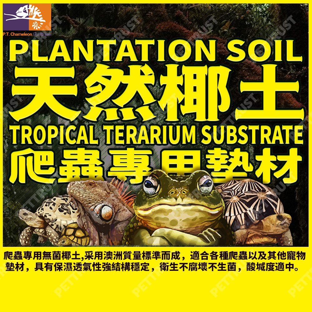 爬蟲用椰土 無菌椰土 椰土 寵物專用椰土 蜥蜴 角蛙 椰土兩棲爬蟲 爬蟲底材 椰土爬蟲 爬寵墊材 爬蟲墊材 椰土寵物用品