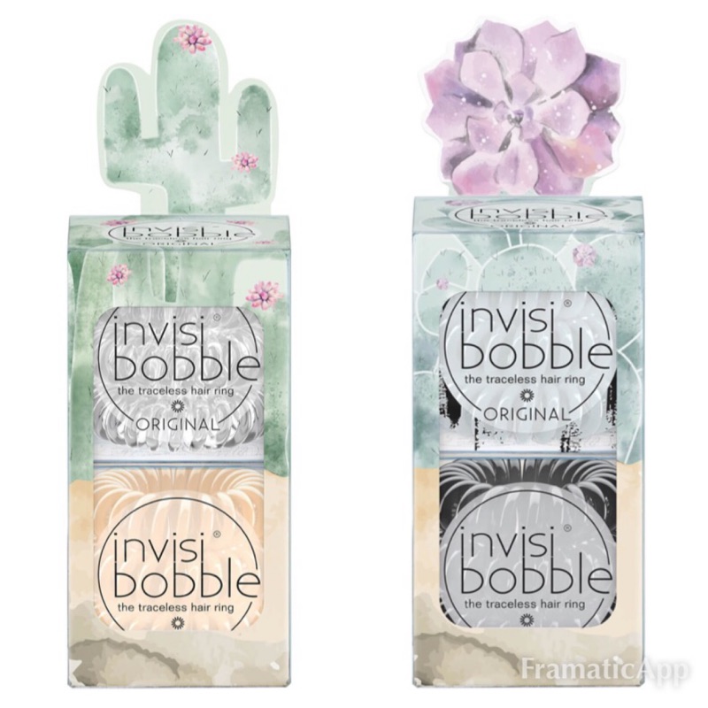 🇩🇪德國品牌 Invisibobble - Original 沙漠🏜️仙人掌花電話線髮圈6入組 / 2款 / 現貨