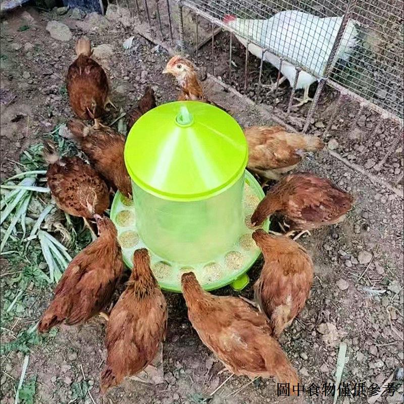 熱賣（家禽飼料桶） 雞食槽自動餵食器帶蓋防撒鵪鶉料桶雞飼料桶雞鴨下料器母雞餵食槽